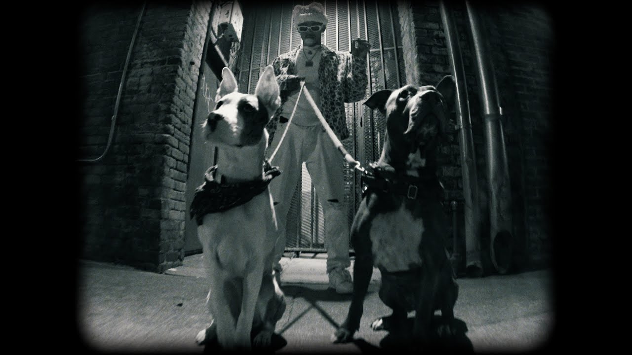 Guarda R3X WONDERS - P3ACE (OFFICIAL MUSIC VIDEO) su YouTube Guarda R3X WONDERS - P3ACE (OFFICIAL MUSIC VIDEO) su YouTube