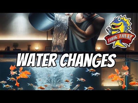 Water Changes, Do You Need To Do Them? The Debate Ends Here!