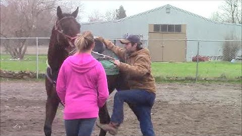 Training Horses not to walk off while Mounting, Mike Hughes, Auburn California