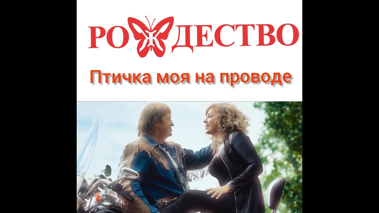 Алиса включи богдана