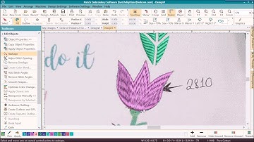 6. Circle of Flowers - Digitizing the Tulip & Rose