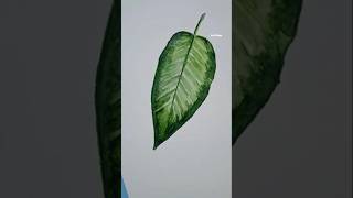 How to paint a realistic leaf 🌿 #watercolor #paintings #timelapse  #shorts
