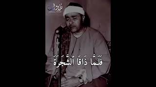 فلما ذاقا الشجرة   التلاوة التي بحث عنها عشاق مصطفى إسماعيل   سورة الأعراف   mustafa ismail nihavend