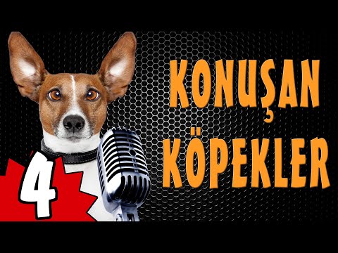 Konuşan Köpekler 4 - En Komik Köpek Videoları