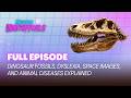 Dinosaur Fossils, Dyslexia, Space Images, and Animal Diseases Explained | FULL EPISODE | S5