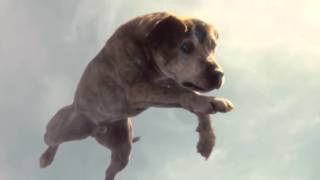There’s No Bed Like Home : IKEA The Wonderful Everyday : TV Advert