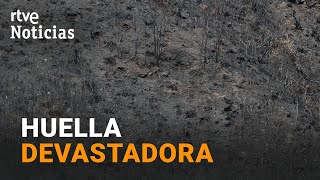 INCENDIOS FORESTALES: El FUEGO CALCINA más de 300.000 HECTÁREAS y CAUSA CUATRO FALLECIDOS | RTVE