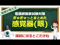 感覚器(眼)の構造と機能、網膜剥離、白内障、緑内障について解説【看護師国家試験対策】