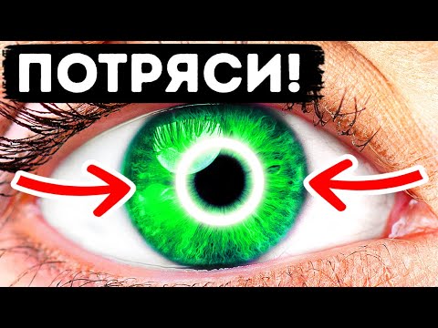 40 самых необычных и загадочных фактов о человеческом теле