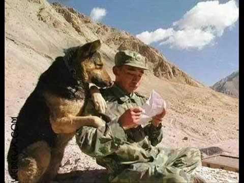 ASKER MEKTUBU KUFURLU 