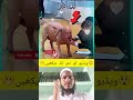نعم مستودعًا الله نفسك، فمن كان في معية الله لا يضره شيء#تصامیم#عبارات #حالات #حالات_واتساب#متابعه
