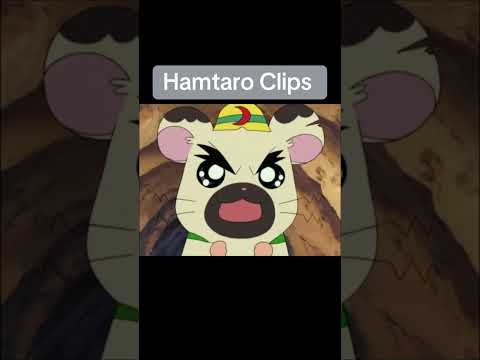Hamtaro Clips Hamtaro Cartoon Clip Hamsters Clips Fyp 