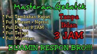 Masteran gelatik batu gacor full variasi