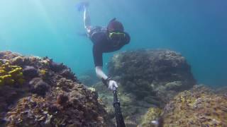 summer free dive 2016 Edit