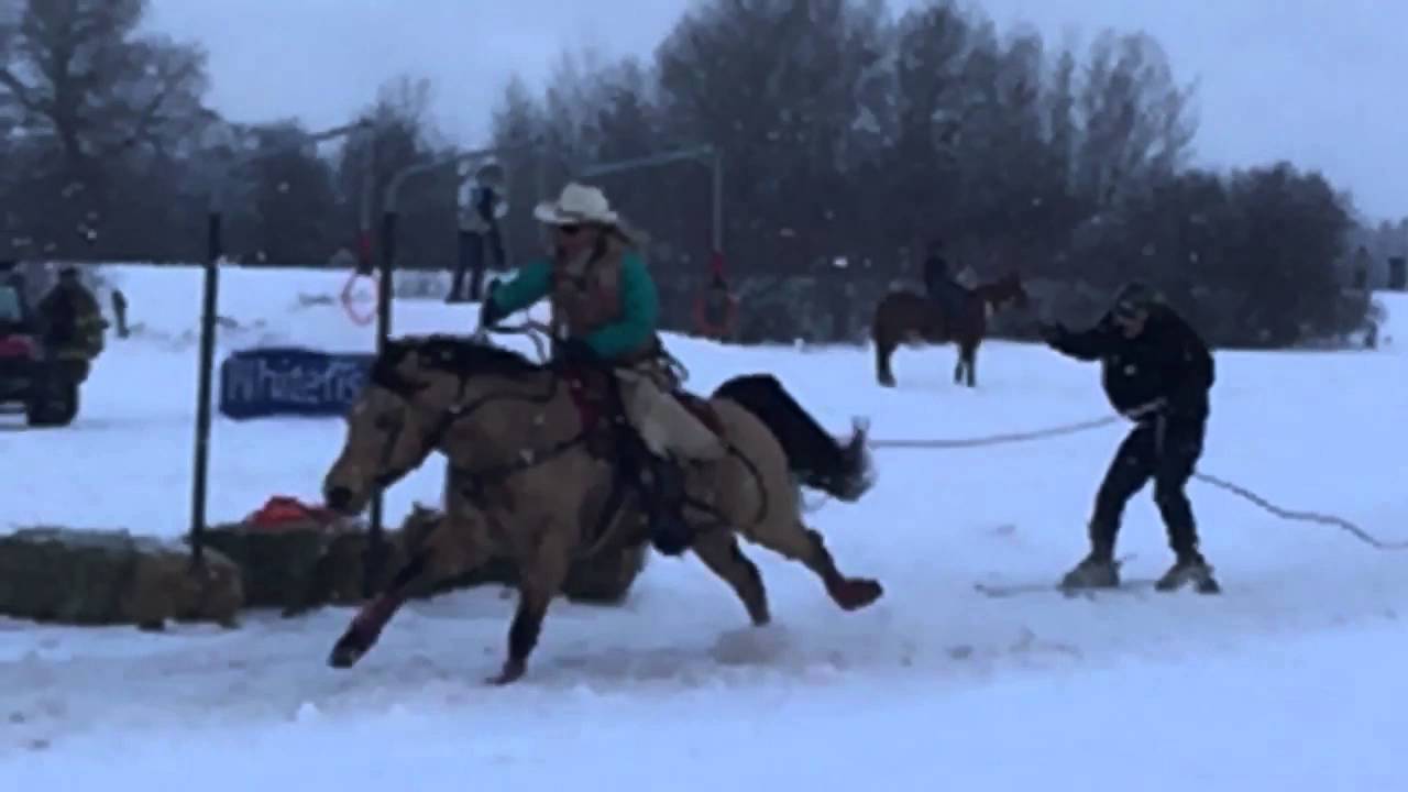 Whitefish Skijoring 2016