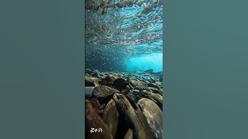 الشيخ ياسر الدوسري سورة الكوثر| إذاعة القرآن الكريم |