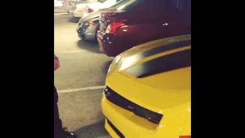 Thumbnail of Bumble bee wake the fuck up!!!!!!!