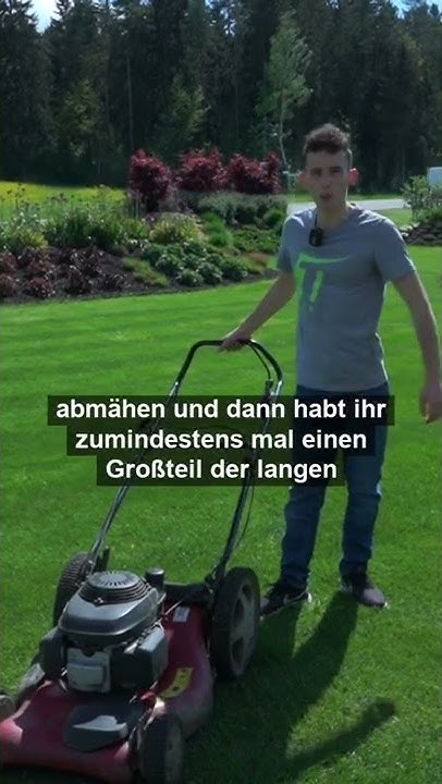 Mähen mit dem Sichelmäher (nach dem Lüften) um lange Ungräser im Rasen