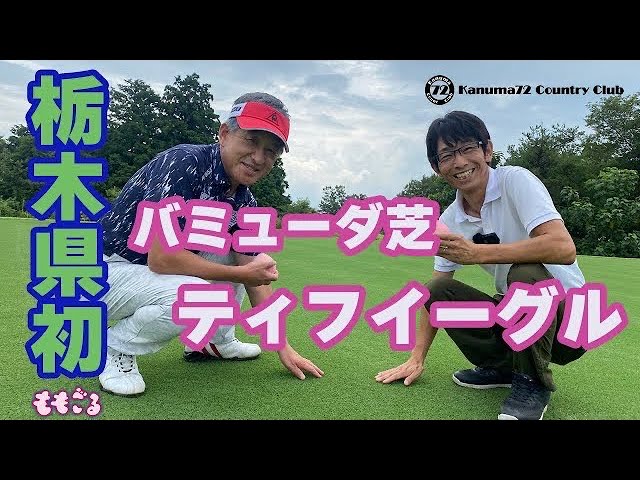 新グリーンバミューダ芝 ティフイーグル ってどんな芝 Youtube