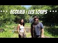 ECOLIEU : LES LOUPS 🌿