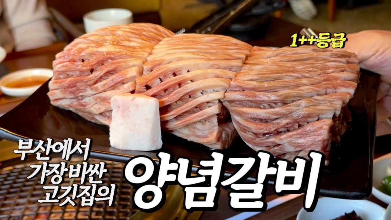 부산에서 가장 비싼 고깃집. 사람들은 왜 여기 점심특선을 찬양할까? 