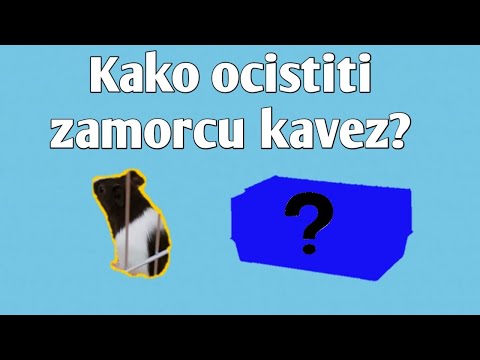 Kako ocistiti zamorcu (morskom prasetu) kavez?