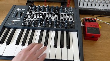 Arturia Minibrute & Boss XT2 Xtortion