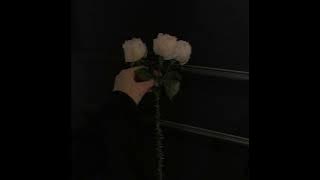 Imagine Dragons- Radioactive Sped up version