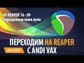 AV REAPER 16 - 09 Определяем темп лупа