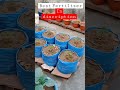 World's best fertlizer