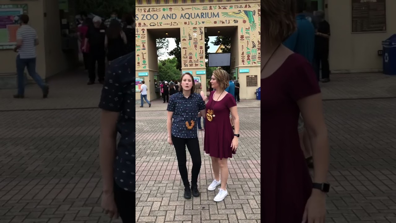 Cute lesbian couple surprises each by proposing at the same time | PinkNews