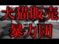 日本国内の犬と猫の生体販売と殺処分について【どうぶつ愛護週間】長野駅前　2019年9月23日(祝)撮影　※チャンネル登録お願いします。#殺処分　※Subscribe to the channel.