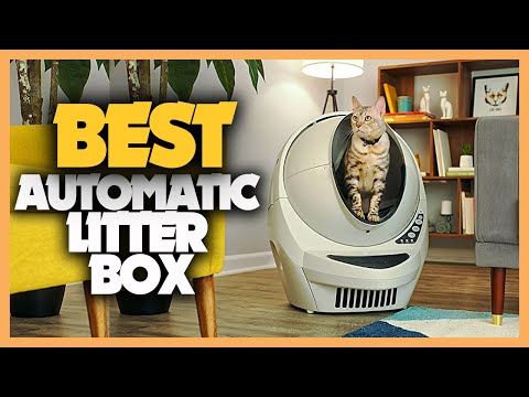 Vidéo: Meilleure boîte à litière automatique pour chat: examen de la boîte à chat et plus