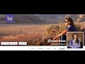 صفحات المشاهير على الفيس بوك