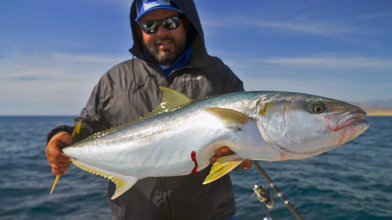 Jigging in The Pacific side of Cabo San Lucas.