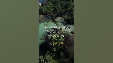 من سورة فصلت (قل أئنكم لتكفرون بالذي خلق الأرض في يومين وتجعلون له أندادا)