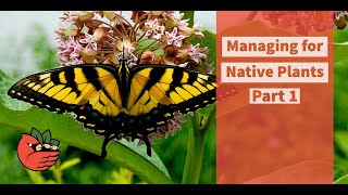 Managing for Native Plants Part 1