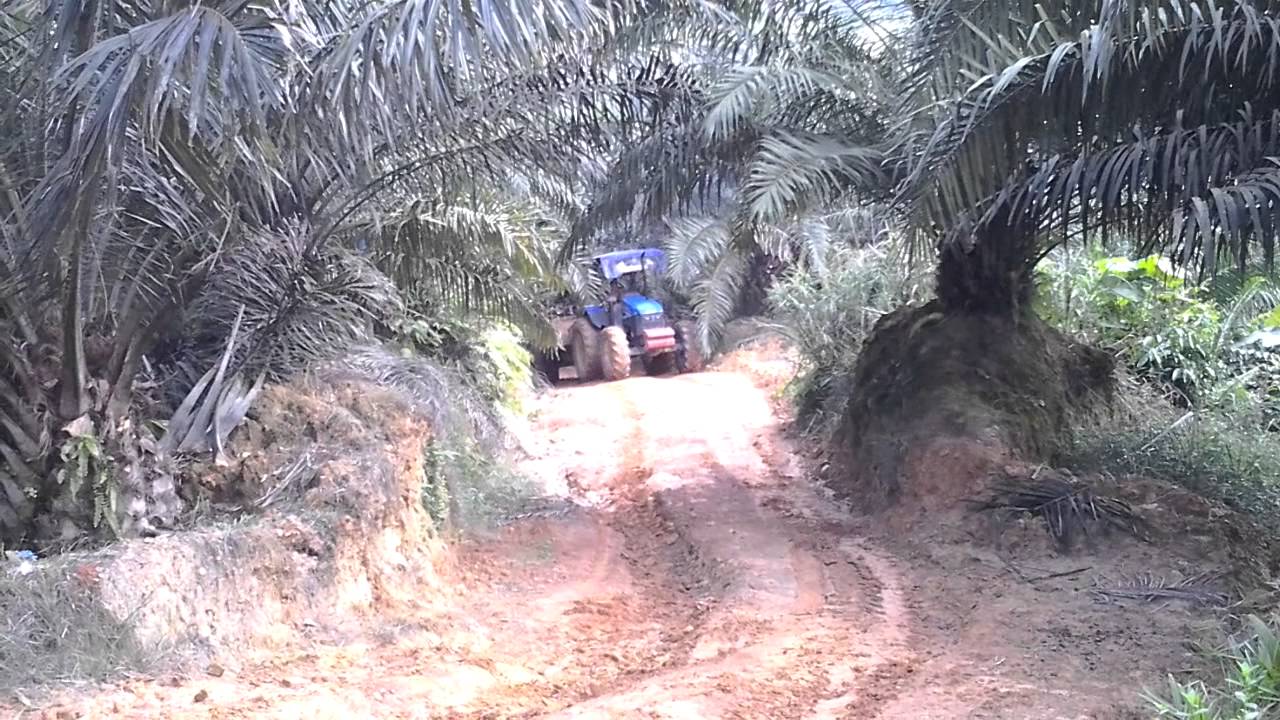 PTO driven trailer for palm oil