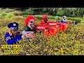 Nerf War Movies: Team SEAL X Warriors Nerf Guns Fight The Criminal Group Cure For Police Office