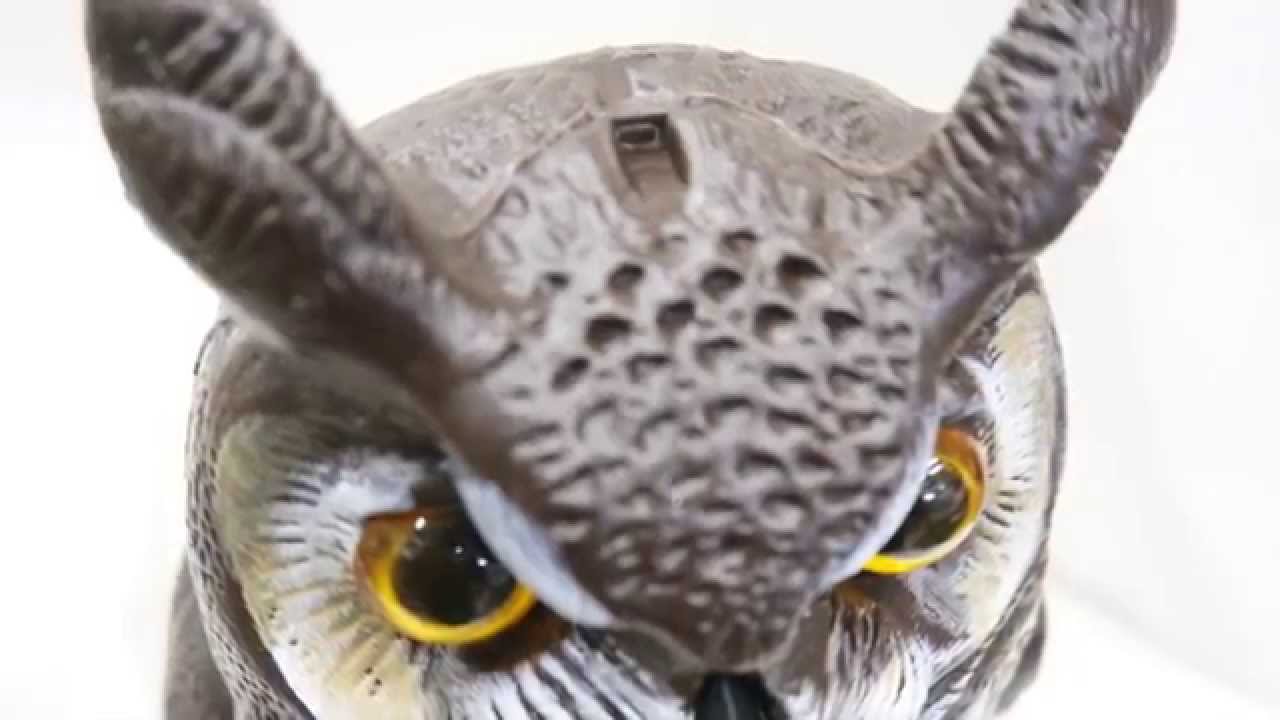 飾りフクロウ 首振りフクロウ 取扱開始 アンテナ エレメントに鳥が止まってお困りの局長さんへ鳥害から貴局の大切なアンテナを守る Youtube