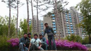 Download Lagu wali cari jodo MP3