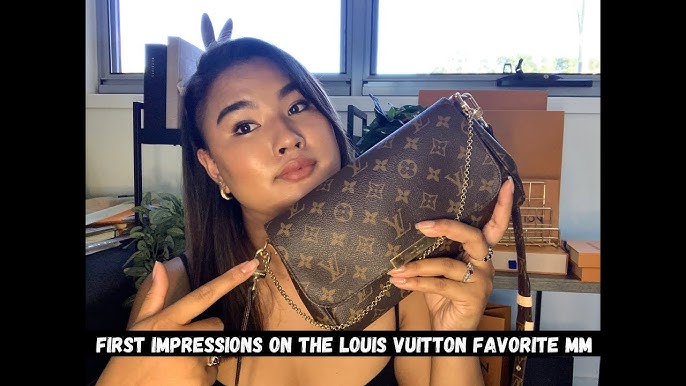 Review of the Louis Vuitton Favorite MM – Jessie's Nonsense