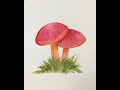 Splendid Waxcap   Isdeitlau Cymraeg