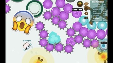 BETA STARVE.IO / New update