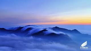 Trancer Classics: Nikolauss - Skyline (Original Mix) [Trancer Recordings]