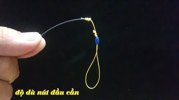 Chia sẻ cách nối dù đầu trục câu đài đơn giản chắc chắn