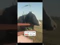 العجل سمع بيها راح يصير كباب كال خلي اشرد احسلي 😂💔