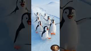 From Complaining to Laughing:The Penguin Story  #penguinadventures  #animation #penguin #penguinlucu