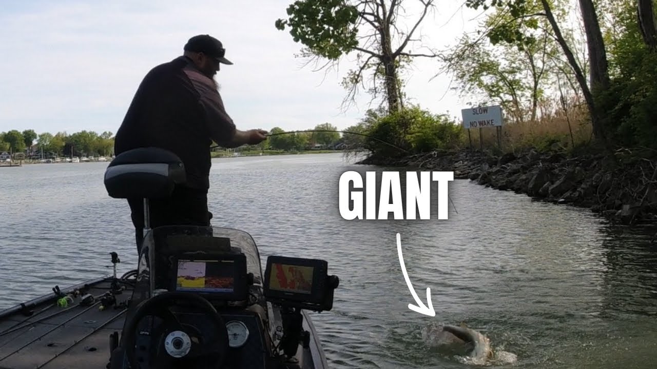 East Harbor Summer bass fishing in Bass Tracker Classic xl (Lake Erie) 