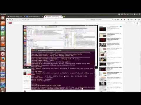 Zekom Gif - Testing code in jUnit for Java
